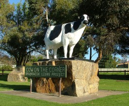 Cow On The Corner, Brunswick