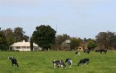 Harvey_Homestead_Accommodation_view