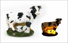 COWSOLS